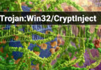 Trojan:Win32/CryptInject