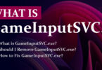 GameInputSVC.exe review